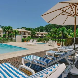 Oliva , Florianópolis Brasil